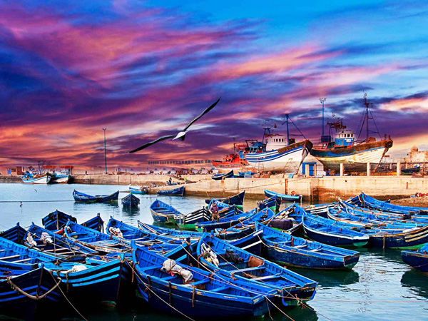 essaouira guided tour
